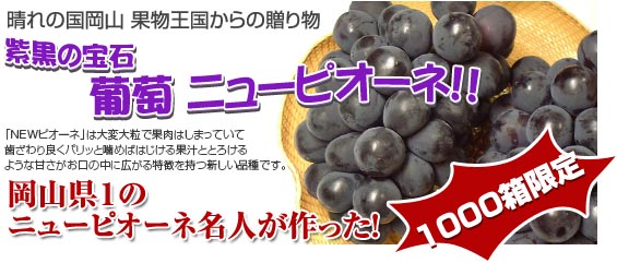 岡山のニューピオーネ(New ピオーネ) 種無しです